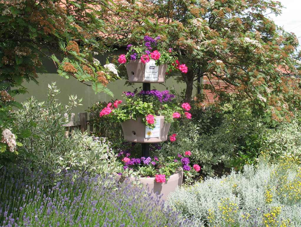 North Walsham In Bloom photo