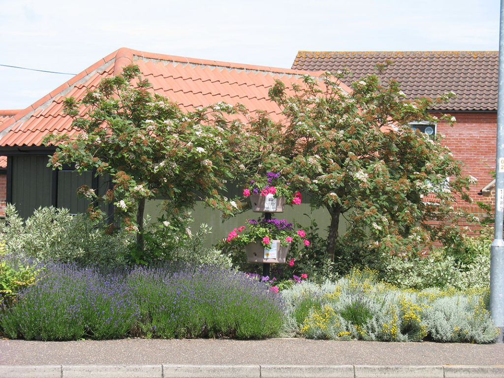 north walsham in bloom 24th june 2015 r