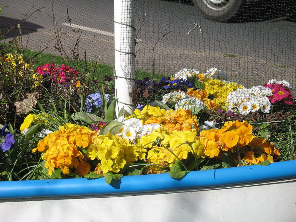 north walsham in bloom 30th june 2015 z