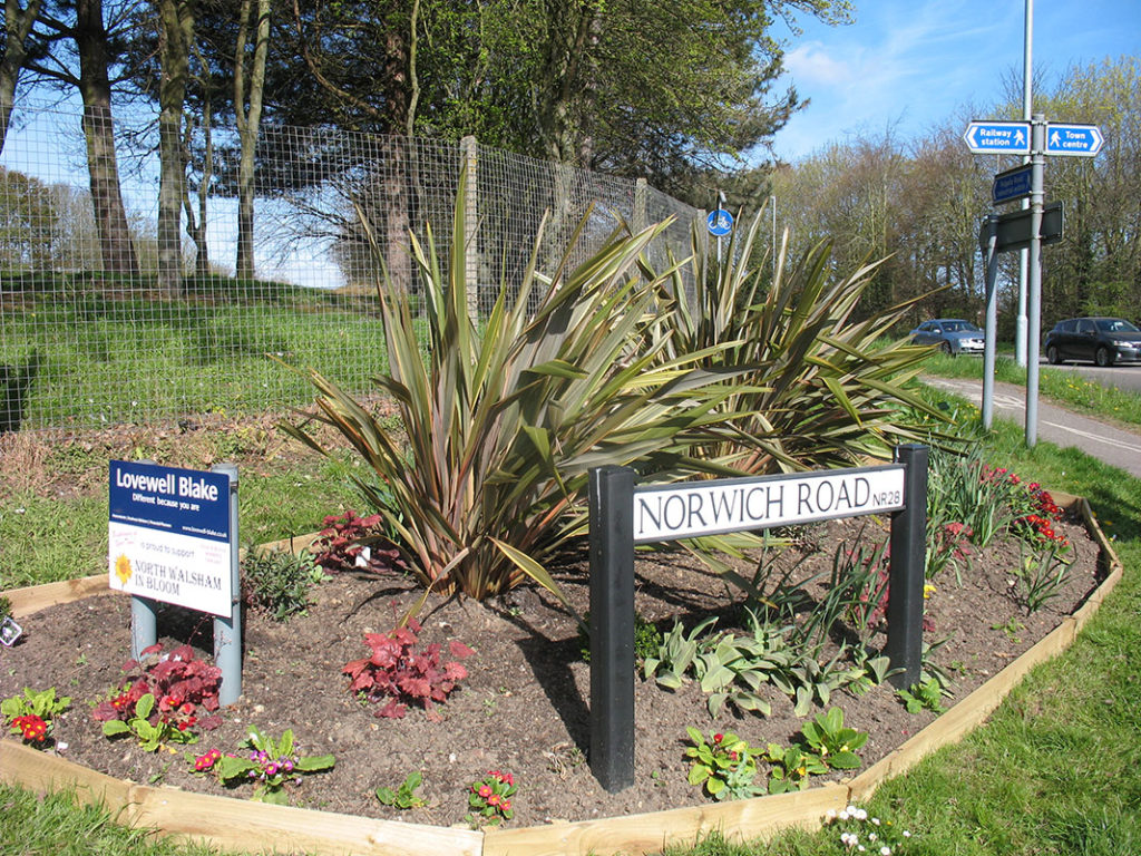 north walsham in bloom 30th june 2015 z