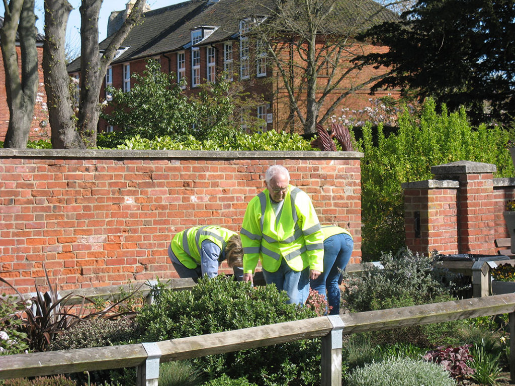 north walsham in bloom 30th june 2015 z