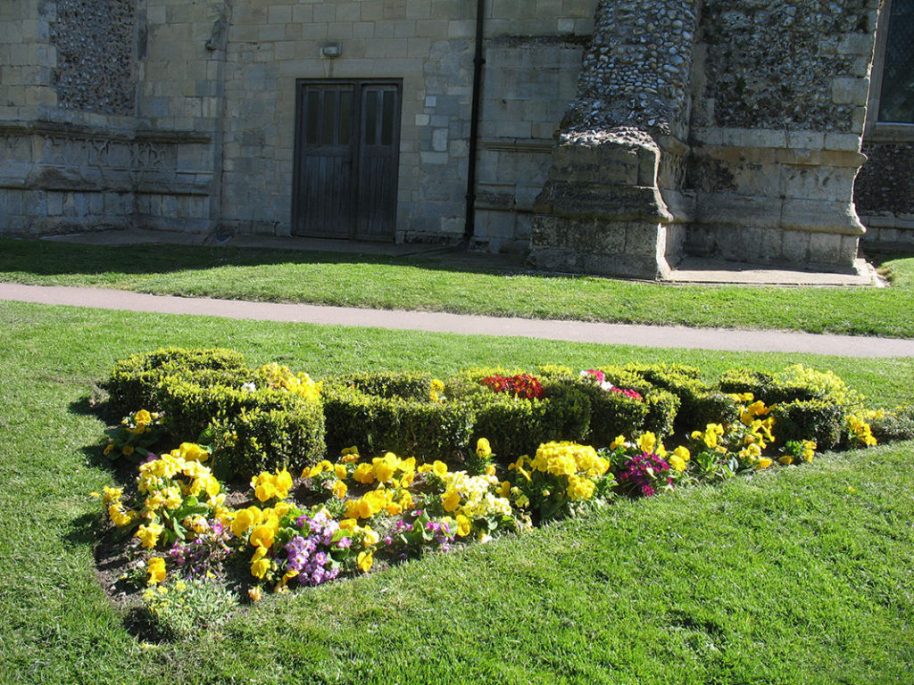 north walsham in bloom 30th june 2015 z