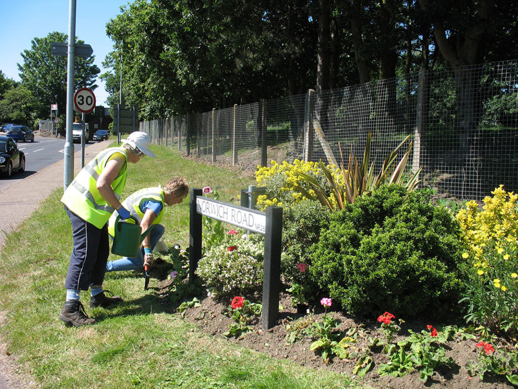 north walsham in bloom 30th june 2015 z