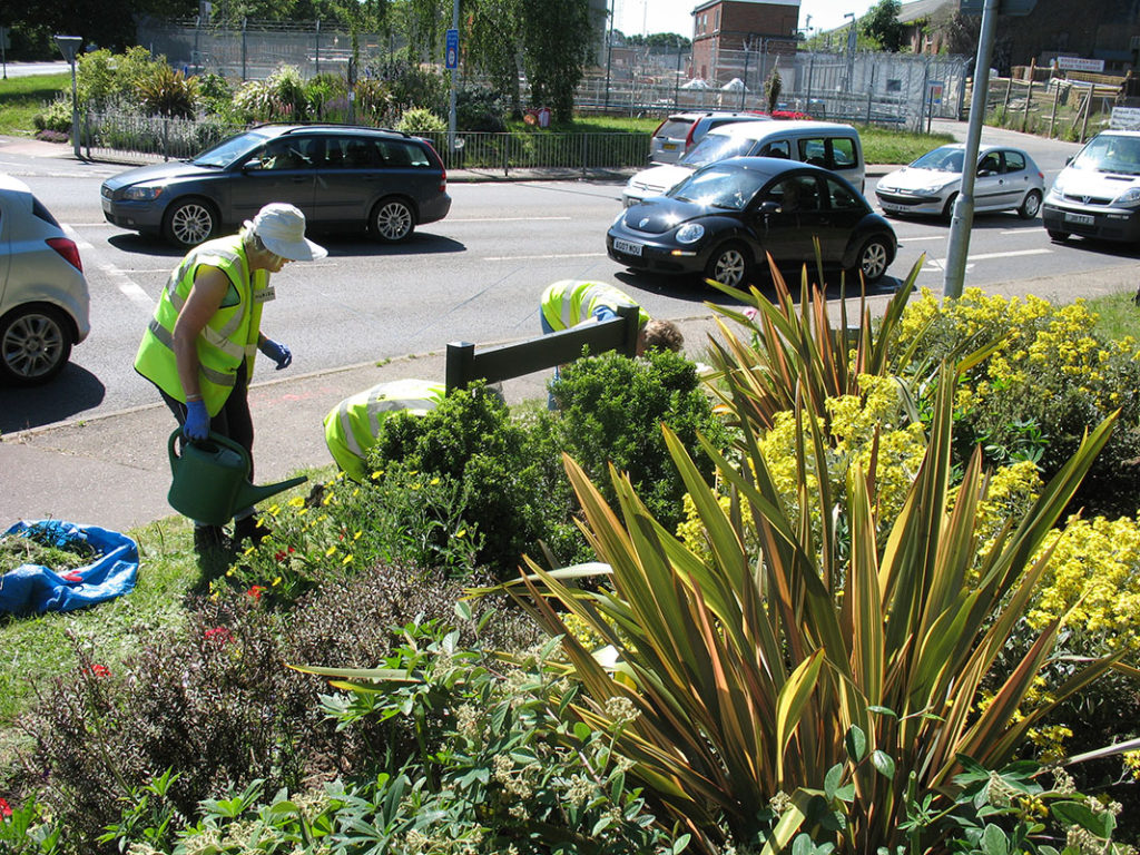 north walsham in bloom 30th june 2015 z