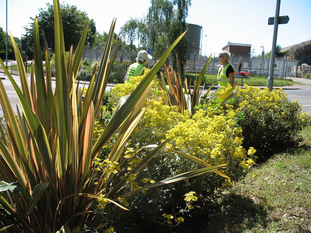 north walsham in bloom 30th june 2015 z