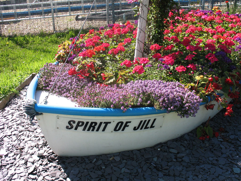 north walsham in bloom 30th june 2015 z