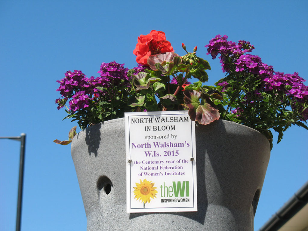 north walsham in bloom 30th june 2015 z