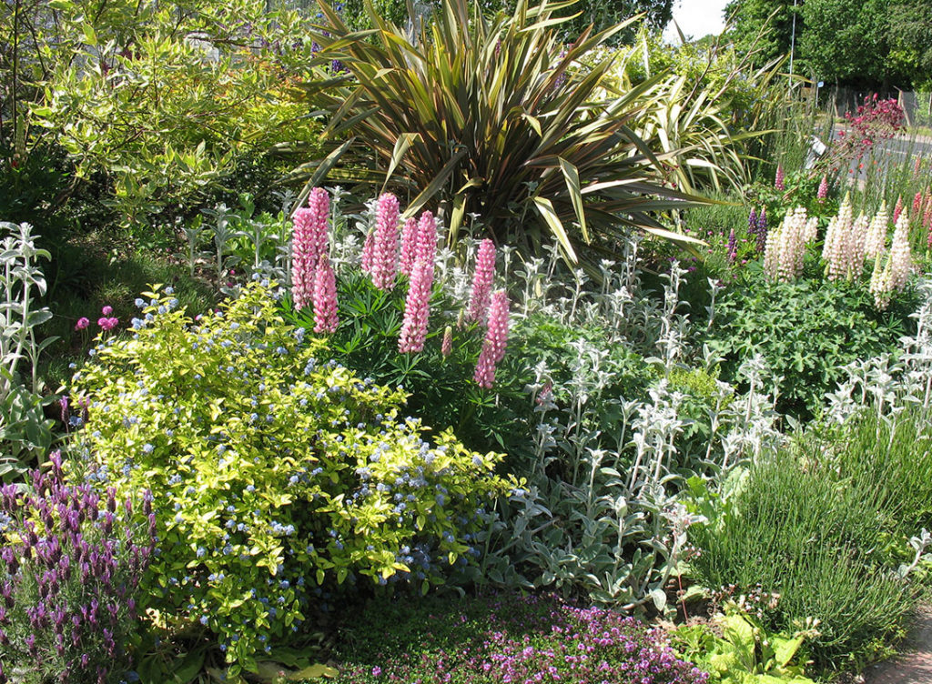 north walsham in bloom 8th june 2016 h