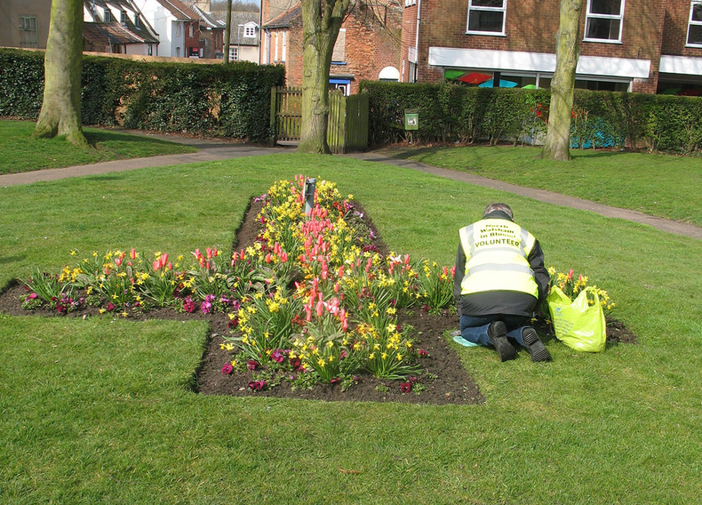 north walsham in bloom