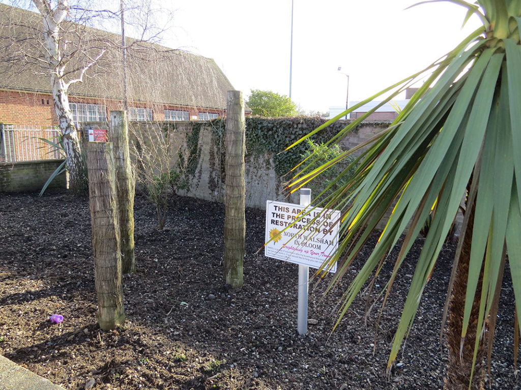 north walsham in bloom