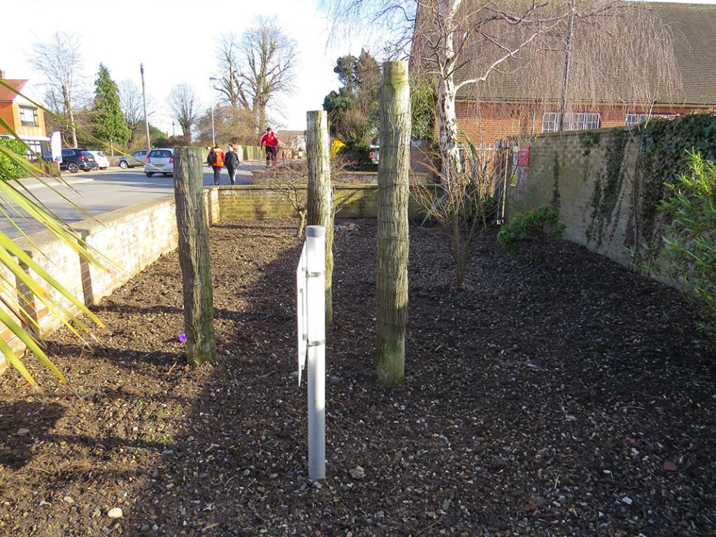 north walsham in bloom