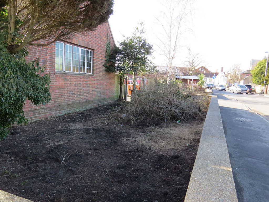 north walsham in bloom