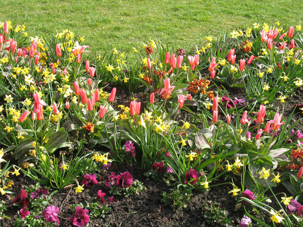 north walsham in bloom